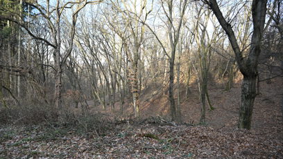 FOTO: Po stopách Jiřího Straky. K prvnímu napadení došlo v malém lesíku u sídliště Novodvorská v Praze 4.