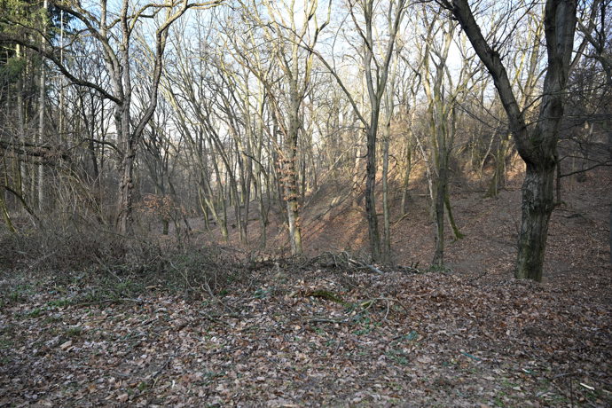 FOTO: Po stopách Jiřího Straky. K prvnímu napadení došlo v malém lesíku u sídliště Novodvorská v Praze 4. – stránka 2