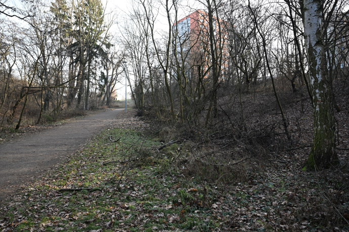 FOTO: Po stopách Jiřího Straky. K prvnímu napadení došlo v malém lesíku u sídliště Novodvorská v Praze 4. – stránka 1