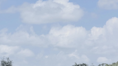 FOTO: Národní park Serengeti.