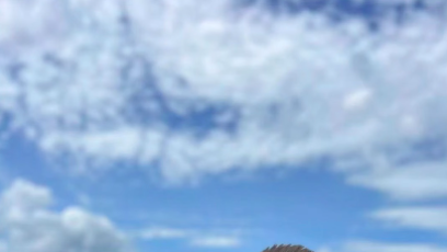 FOTO: Kolem Rajchla je v posledních měsících rušno.