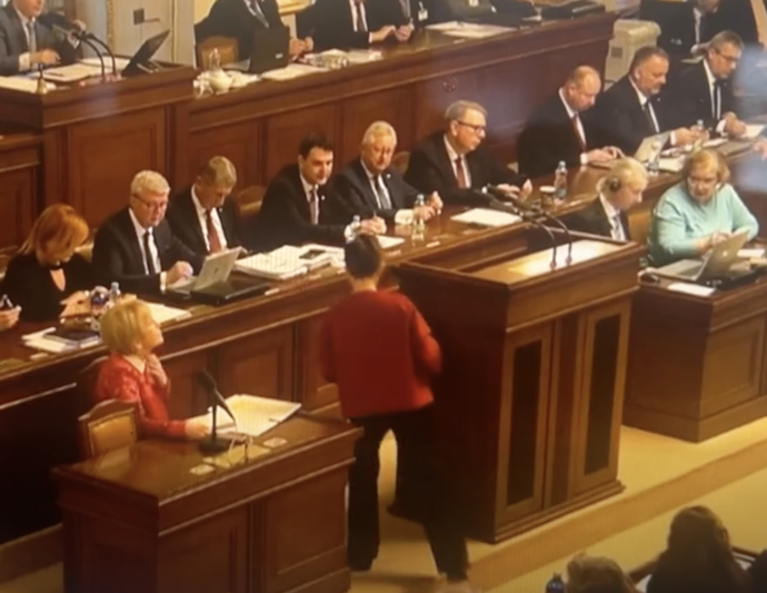 FOTO: Olga Richterová z Pirátu chodila ve sněmovně pozadu.