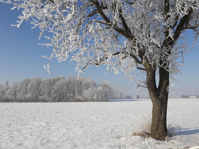 Foto k tématu zima – stránka 32