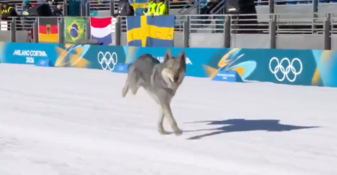 FOTO: Pes Nazgul si to štrádovgal po dráze. – stránka 3