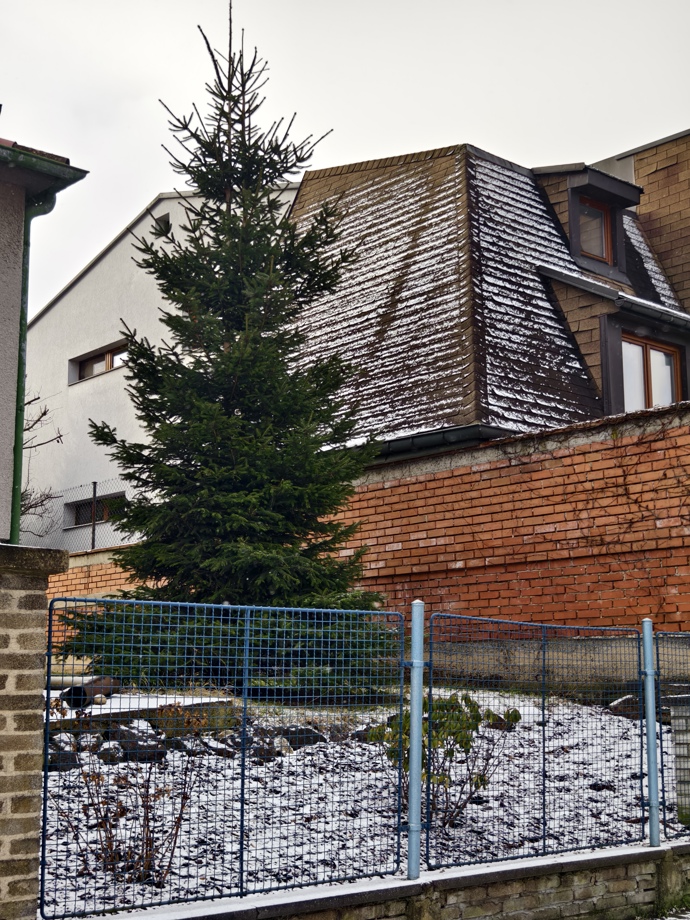 FOTO: Nový dům Ornelly Koktové. – stránka 29