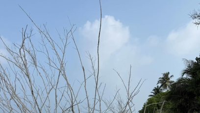 FOTO: Vlaďka Erbová si užívá dovolenou.