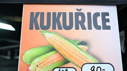 FOTO: Kukuřice podražila.