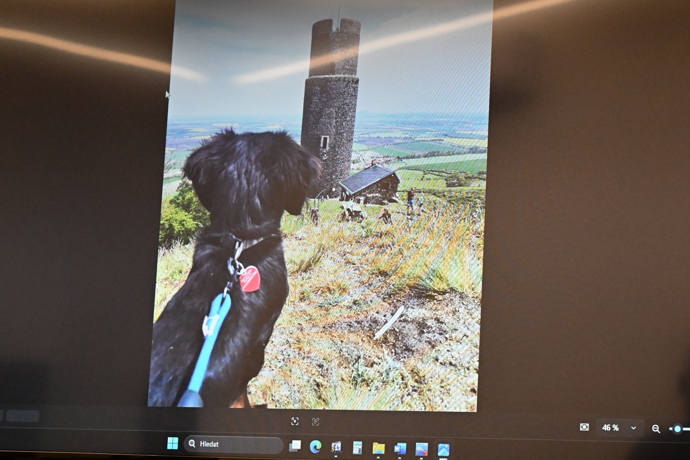 FOTO: Promítaly se fotky zesnulého pejska. – stránka 1