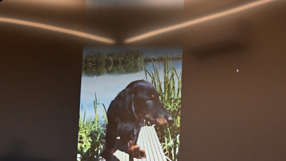 FOTO: Jezevčík byl brutálně týraný.