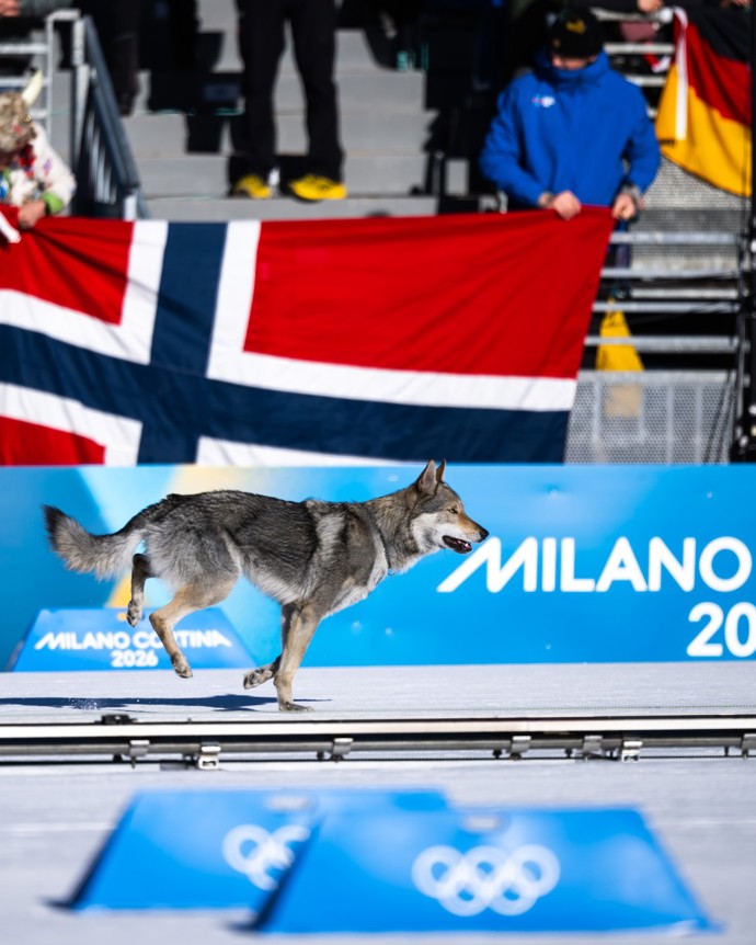 FOTO: Pes Nazgul pobáhal po závodě. – stránka 6