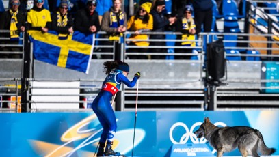 FOTO: Nazgul vběhnul na lyžařskou dráhu.