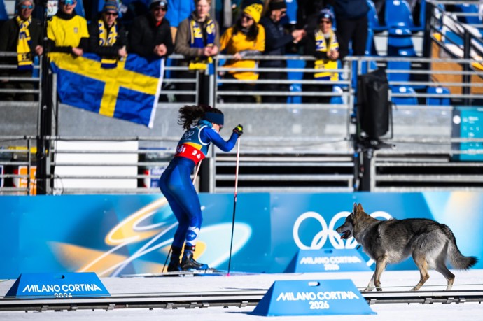 FOTO: Nazgul vběhnul na lyžařskou dráhu. – stránka 5