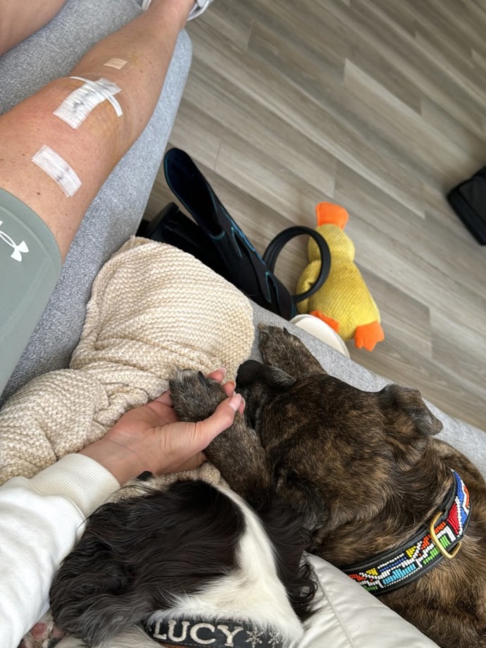 FOTO: Lindsey Vonn s pejskem. – stránka 4