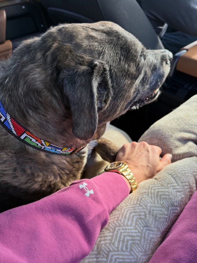 FOTO: Lindsey Vonn sdílela snímky svého zesnulého psa. – stránka 2