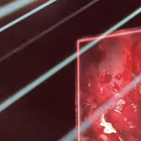 Pali Hari na útěku před rozzuřeným davem.