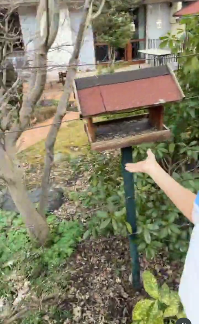 FOTO: Ornella Koktová ukázala ptačí budku. – stránka 6