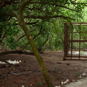 Poražené čekal trest v podobě klece.