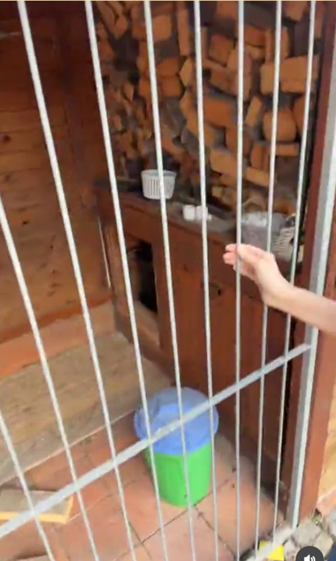 FOTO: K dispozici je i kotec pro psa. – stránka 5