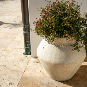 Okolí domu zdobí květiny.