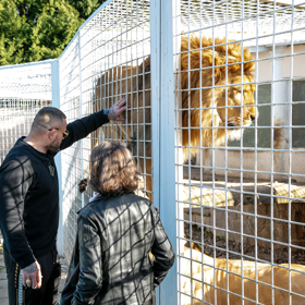 Jako první nám ukázal svoji největší pýchu - lva Kinga a lvice Elsu a Princeznu.