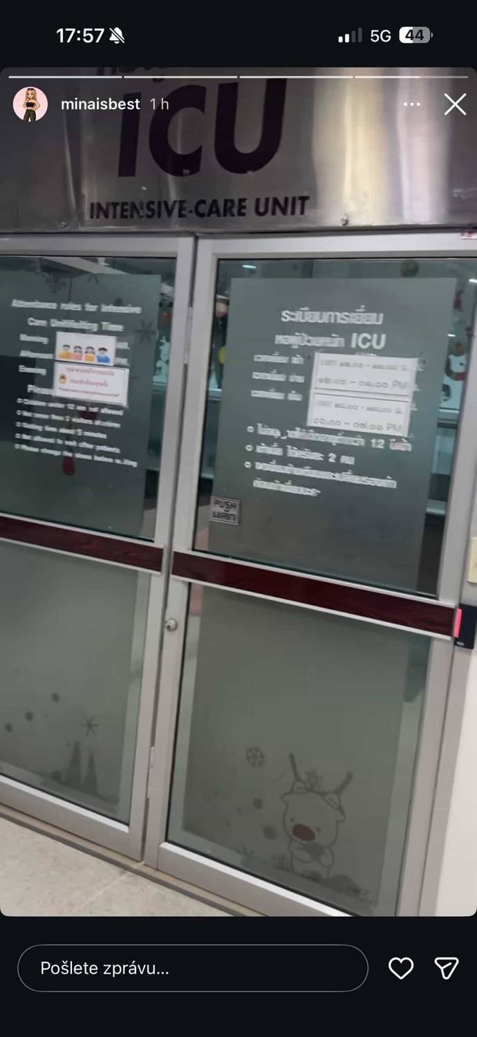 FOTO: Dominika Elischerová bojuje o život. – stránka 2