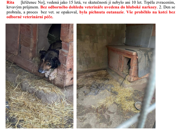 FOTO: Osed fenky Rity. – stránka 2