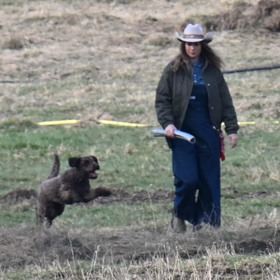 Radana Kotková dováděla s Haidy.