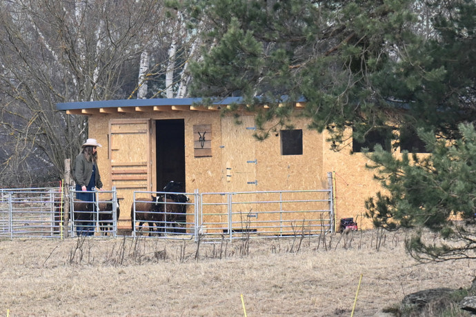 FOTO: Farma Vojtky Kotka se už pořádně rozrostla. – stránka 10