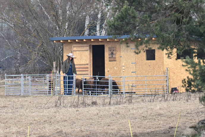 FOTO: Farma Vojtky Kotka se už pořádně rozrostla. – stránka 9