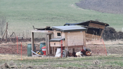 FOTO: Farma Vojtky Kotka se už pořádně rozrostla.
