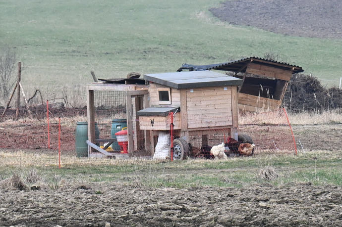 FOTO: Farma Vojtky Kotka se už pořádně rozrostla. – stránka 6