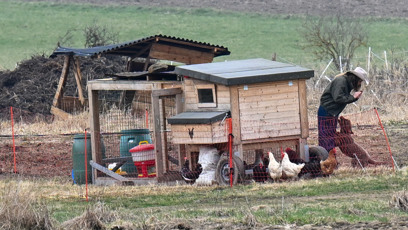 FOTO: Radana Kotková s Haidy u slepic.