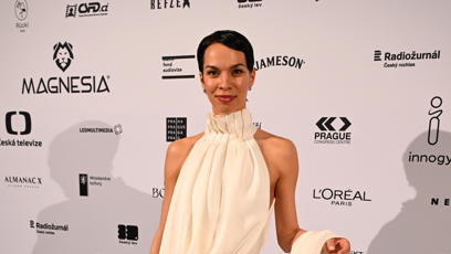 FOTO: Odchody z Českého lva.