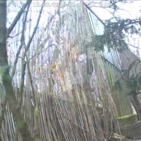 Maskovaný muž za plotem.