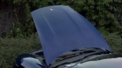 FOTO: Žena náraz nepřežila.