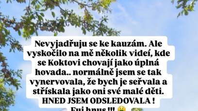 FOTO: Natálie se k videu vyjádřila na svém Instagramu.