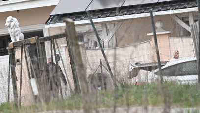 FOTO: Karlos Vémola vyšel po chvíli ven.