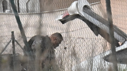 FOTO: Karlos Vémola pomáhal s věcmi.