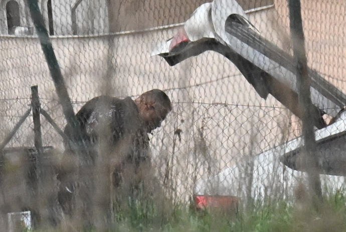 FOTO: Karlos Vémola pomáhal s věcmi. – stránka 3