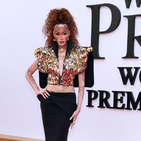 Modelka Winnie Harlow také dorazila.