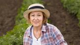 Alena (62): Snacha se bála o manikúru, ale maliny si brala ráda. Tak jsem ji donutila pomáhat na zahradě