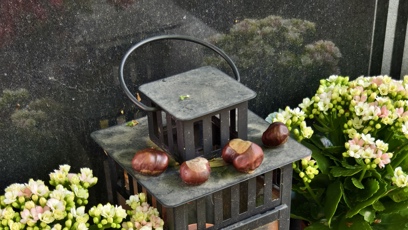 FOTO: Hrob Jiřího Bartošky.