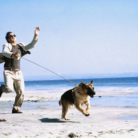 snímek z filmu K-9 2: Můj přítel se studeným čumákem (Jim Belushi)