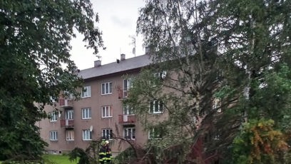 FOTO: Mohutný jehličnan spadl těsně vedle bytovky, hasiči museli kmen okamžitě rozřezat.