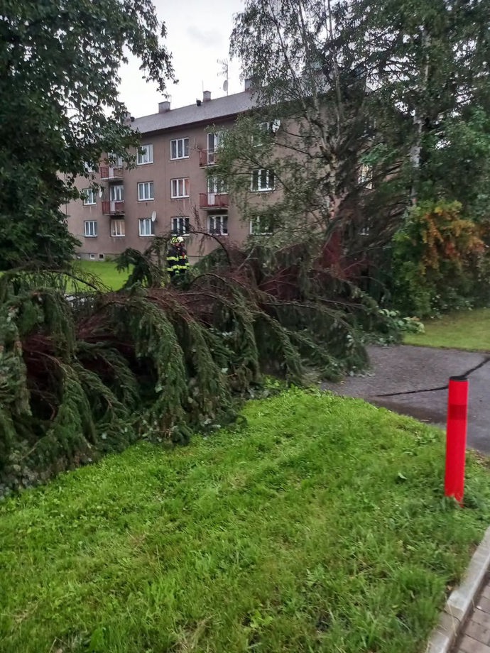 FOTO: Mohutný jehličnan spadl těsně vedle bytovky, hasiči museli kmen okamžitě rozřezat. – stránka 2