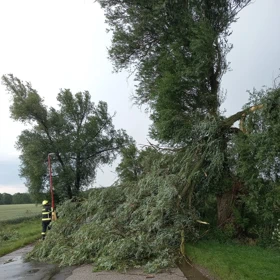 Hasiči likvidují mohutný vyvrácený strom, který zcela zablokoval vedlejší silnici.