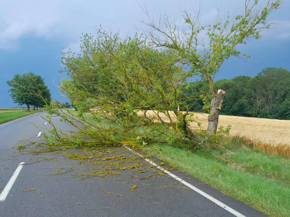 FOTO: Spadané stromy a polámané větve omezily po silných bouřkách dopravu na řadě míst v kraji.