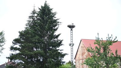 FOTO: Čapí hnízdo v diecézním centru Mamre.
