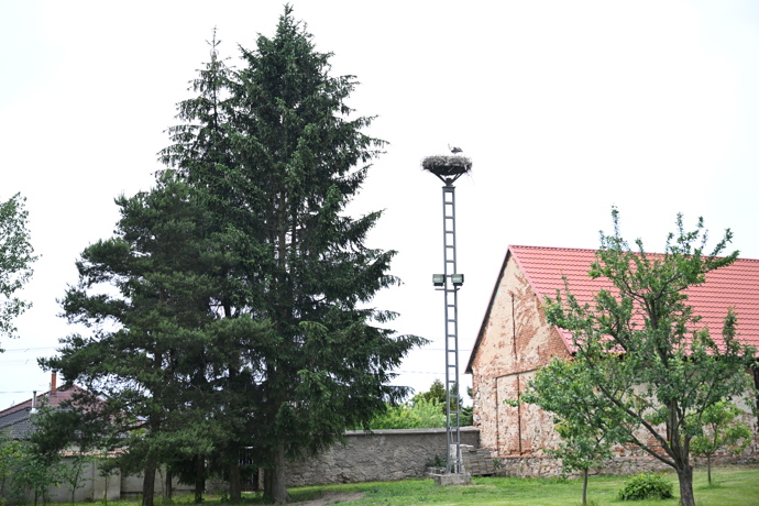 FOTO: Čapí hnízdo v diecézním centru Mamre. – stránka 13