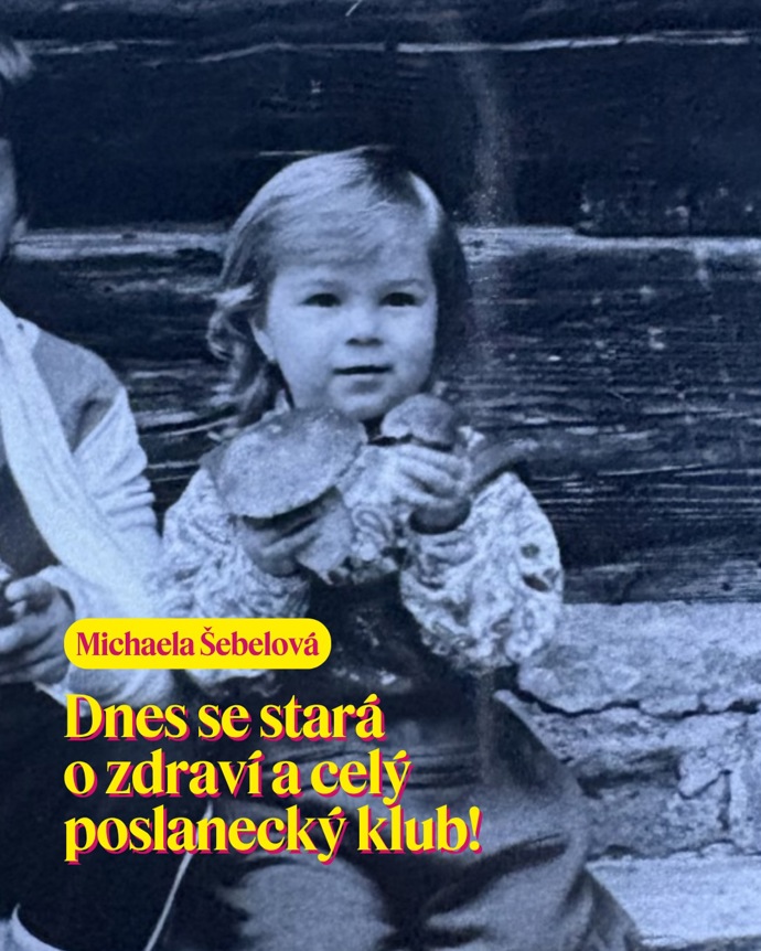 FOTO: „Dnes se stará o zdraví a celý poslanecký klub,“ uvádí hnutí STAN na svém Instagramu k fotografii Michaely Šebelové.